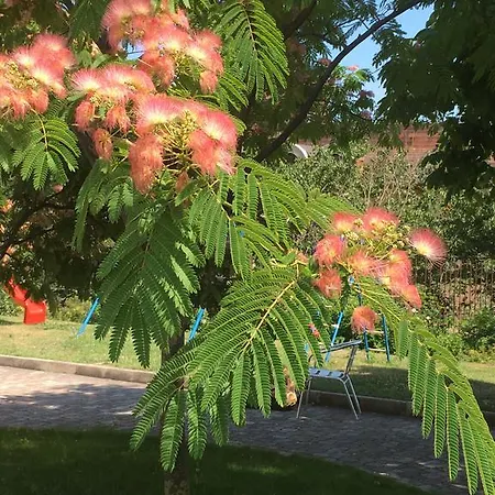 Sea Park Homes Neshkov Apartmanhotel Várna