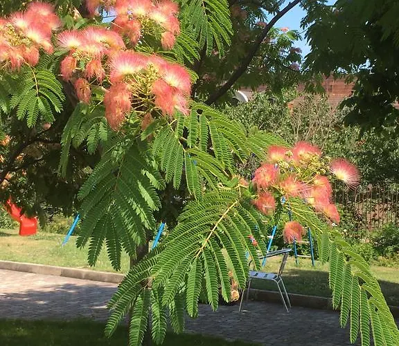 Sea Park Homes Neshkov Apartmanhotel Várna